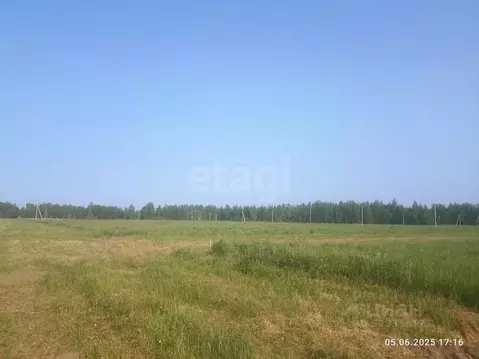 Участок в Костромская область, Кострома  (15.14 сот.)