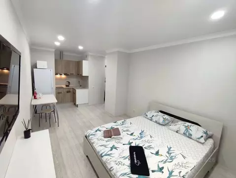 Студия Тюменская область, Тюмень ул. Первооткрывателей, 10 (25.0 м)