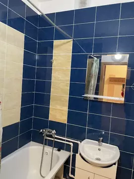 1-к кв. Ленинградская область, Всеволожский район, д. Новое Девяткино ...