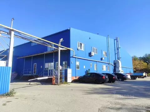 Помещение свободного назначения в Саратовская область, Саратов ул. ...