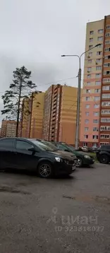 Студия Пермский край, Пермь ул. Бушмакина, 96 (34.1 м)