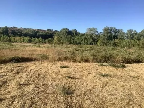 Участок в Севастополь ул. Речная (69.0 сот.)