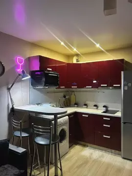 Студия Новосибирская область, Новосибирск ул. Виктора Уса, 13 (22.0 м)