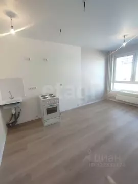 Студия Амурская область, Благовещенск ул. 50 лет Октября, 265 (33.7 м)