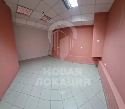 Торговая площадь в Омская область, Омск ул. Ядринцева, 24 (20 м)