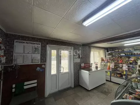 Торговая площадь в Краснодарский край, Староминская ст-ца ул. Пушкина ...