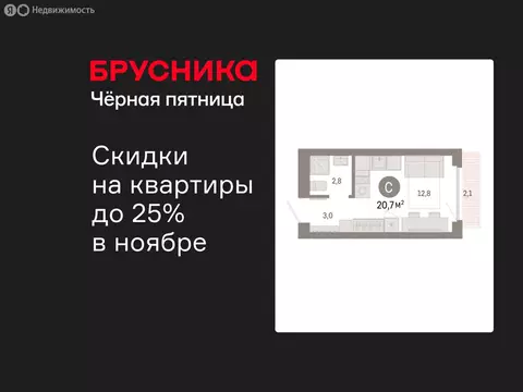 Квартира-студия: Новосибирск, квартал Лебедевский, 1/3 (20.7 м)