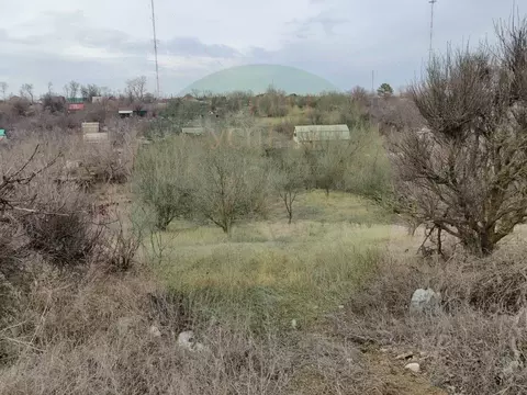 Участок в Волгоградская область, Волгоград Электромонтажник СНТ, 154 ...