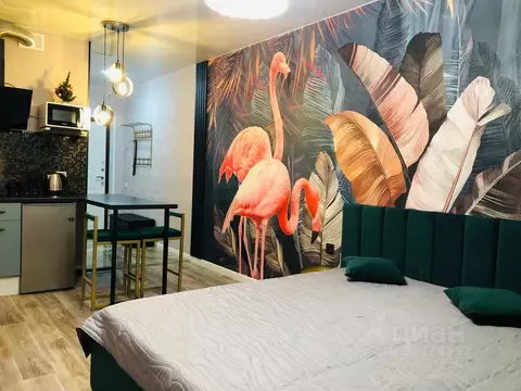 Студия Самарская область, Тольятти ул. 40 лет Победы, 43Д (27.0 м)