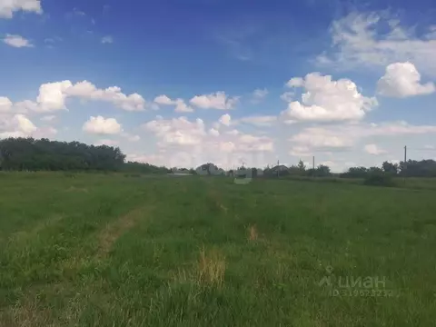 Участок в Воронежская область, с. Новая Усмань  (12.0 сот.)