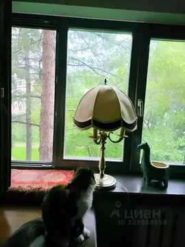 3-к кв. Свердловская область, Екатеринбург ул. Мичурина, 59 (57.1 м)