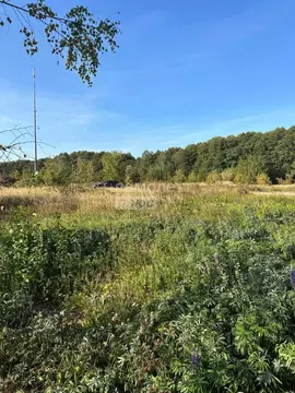 Участок в Московская область, Старая Купавна Богородский городской ...