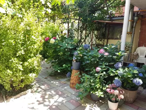 Комната Краснодарский край, Анапа Новороссийская ул., 215