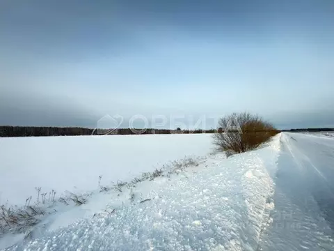 Участок в Тюменская область, Тюменский муниципальный округ, с. Успенка ...