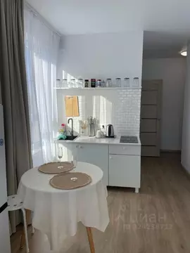 Студия Тверская область, Тверь ул. Медовая, 9к6 (17.3 м)