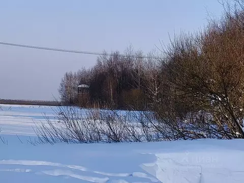 Участок в Московская область, Талдомский городской округ, д. Шатеево  ...