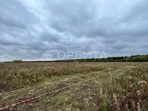 Участок в Тюменская область, Тюменский муниципальный округ, д. ...