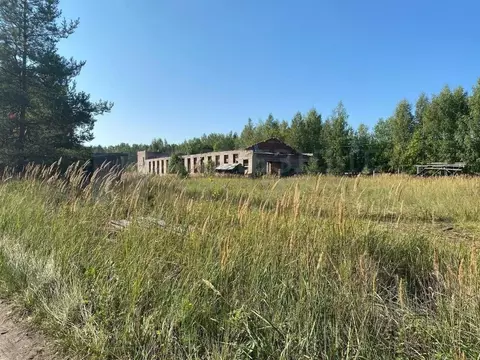 Участок в Новгородская область, Хвойная рп ул. Советская (67.3 сот.)