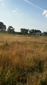 Участок в Брянская область, Навлинский район, Бяковское с/пос, д. ...