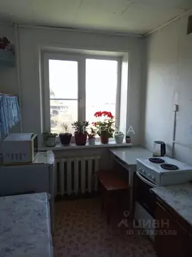 2-к кв. Алтайский край, Первомайский район, с. Первомайское, ...