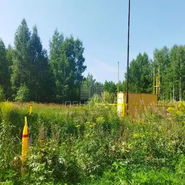 Участок в Владимирская область, Владимир сад Заречье, 86 (10.0 сот.)