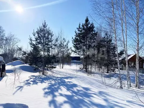 Участок в Новосибирская область, Коченевский район, Витязь садовое ...