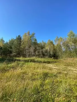 Участок в Брянская область, Выгоничский район, Хмелевское с/пос, д. ...