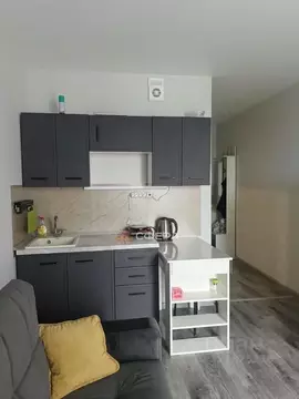 1-к кв. Новосибирская область, Новосибирск ул. Забалуева, 102/2 (21.0 ...