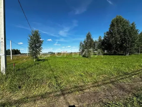 Участок в Тюменская область, Тюмень Салаирский тракт, 6-й км, 19 (4.25 ...