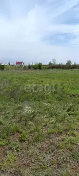 Участок в Оренбургская область, Оренбургский район, Пригородный ...