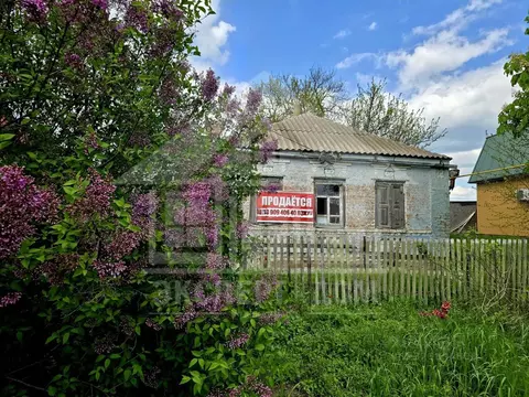 Участок в Ростовская область, Неклиновский район, Лакедемоновское ...