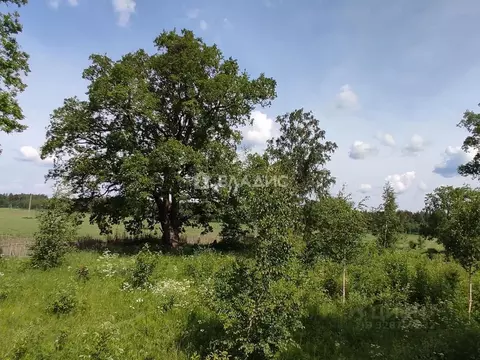 Участок в Ленинградская область, Приозерский район, Плодовское с/пос, ...