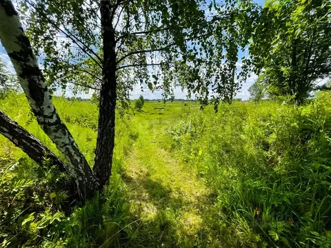 Участок в Ярославская область, Ярославский муниципальный округ, д. ...