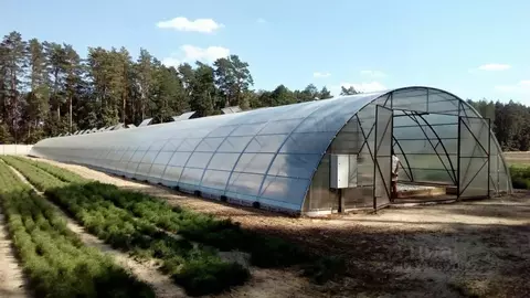 Участок в Омская область, Омское с/пос, д. Зеленовка  (368.0 сот.)