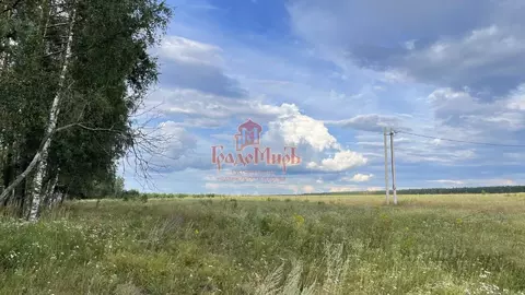 Участок в Владимирская область, Александровский муниципальный округ, ...