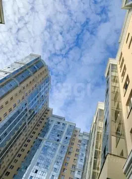 Студия Санкт-Петербург ул. Оптиков, 37 (24.4 м)