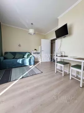 Студия Санкт-Петербург просп. Маршала Блюхера, 6к2 (25.0 м)