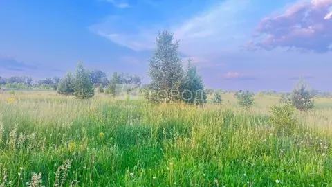 Участок в Алтайский край, Первомайский район, пос. Новый ул. ...