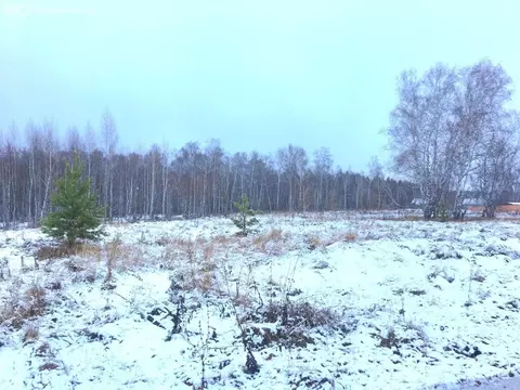 Участок в Челябинская область, Красноармейский муниципальный округ, ...