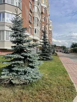 1-к кв. Московская область, Ивантеевка Пушкинский городской округ, ...