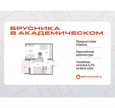 1-комнатная квартира: Екатеринбург, микрорайон Академический, 19-й ...