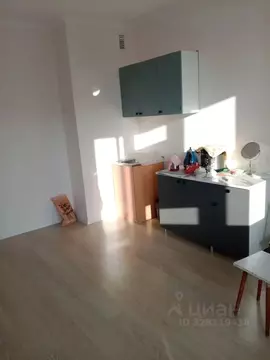 Студия Москва ш. Остафьевское, 14к2 (28.0 м)