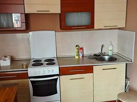 1-к кв. Санкт-Петербург Ленская ул., 19к1 (45.0 м)