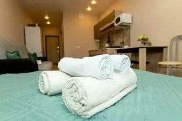 1-к кв. Московская область, Старая Купавна Богородский городской ...