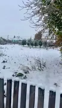 Участок в Новосибирская область, Новосибирский район, Морской ...