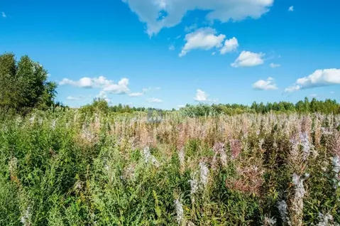 Участок в Тюменская область, Нижнетавдинский муниципальный округ, ...