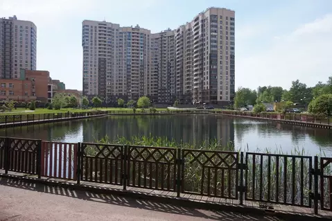 Квартира-студия: Санкт-Петербург, улица Бутлерова, 9к2 (25.7 м)