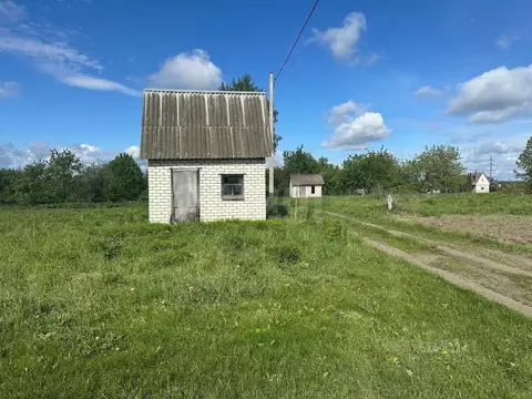 Участок в Брянская область, Брянский район, Мичуринское с/пос, Заря ...