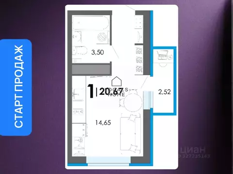 Студия Рязанская область, Рязанский муниципальный округ, с. Дядьково  ...