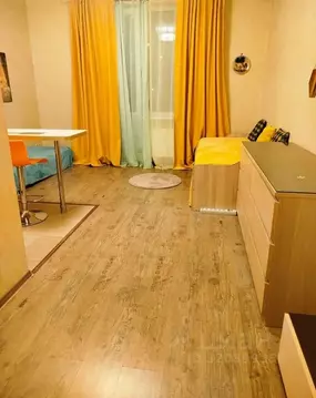 Студия Санкт-Петербург ул. Русановская, 11 (28.0 м)